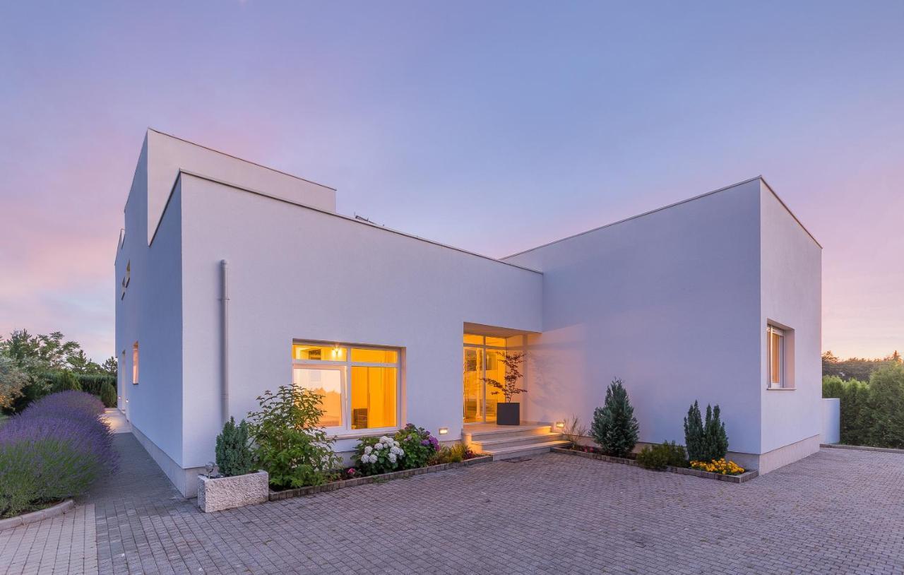Villa Kate Istria Zminj Bagian luar foto