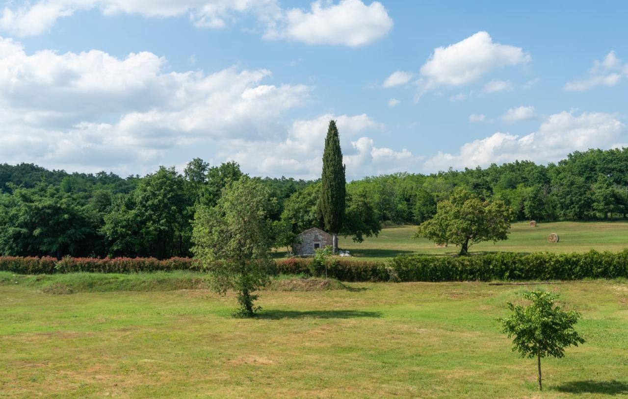 Villa Kate Istria Zminj Bagian luar foto