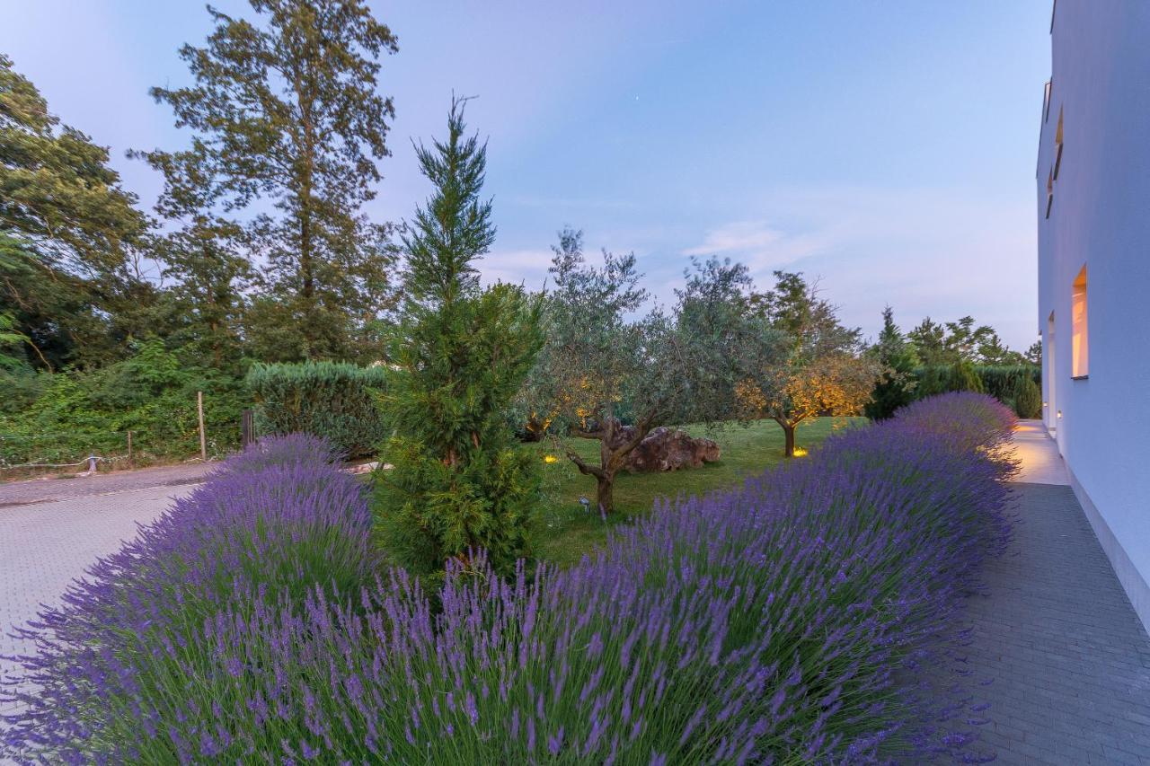 Villa Kate Istria Zminj Bagian luar foto